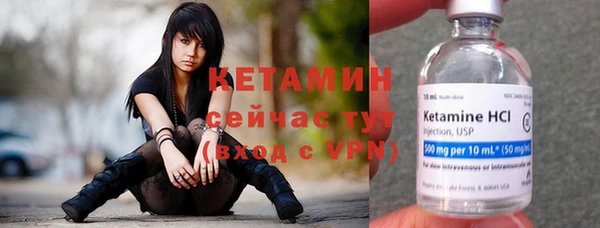 дживик Арсеньев