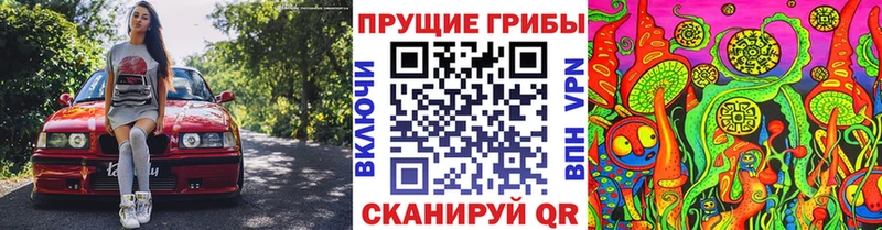 Псилоцибиновые грибы прущие грибы  купить наркотики сайты  Петровск-Забайкальский 
